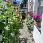 Haus Alexandrine