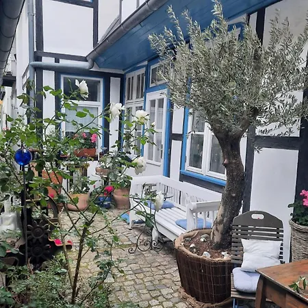 Haus Alexandrine Apartment *