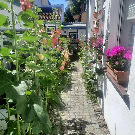 Haus Alexandrine Apartment Rostock