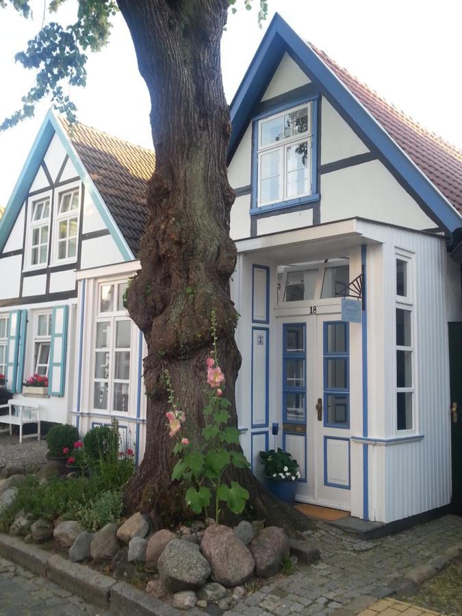 Haus Alexandrine Apartment