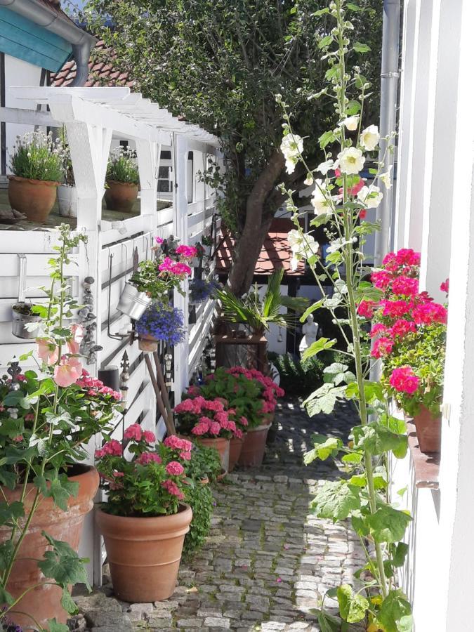 Apartment Haus Alexandrine *