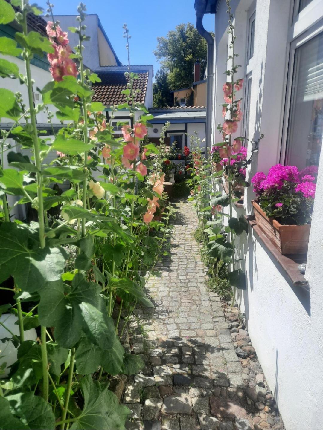 Haus Alexandrine Apartment Rostock